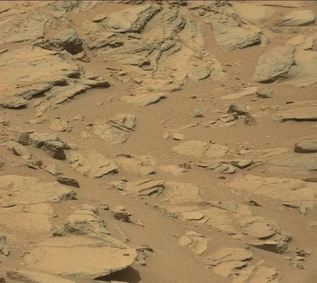 Sol 309: Mast Camera (Mastcam)