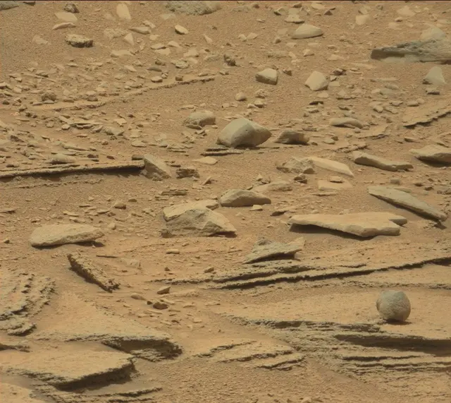 Sol 309: Mast Camera (Mastcam)