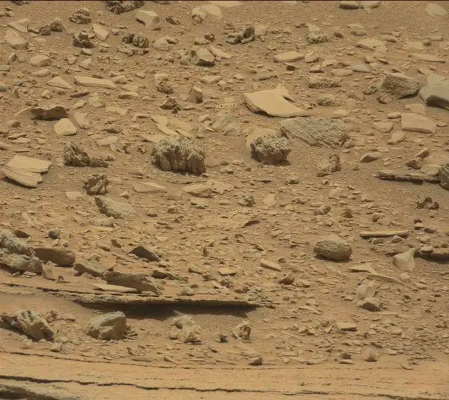 Sol 309: Mast Camera (Mastcam)