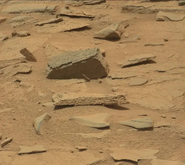 Sol 309: Mast Camera (Mastcam)