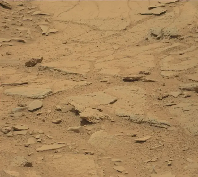 Sol 309: Mast Camera (Mastcam)