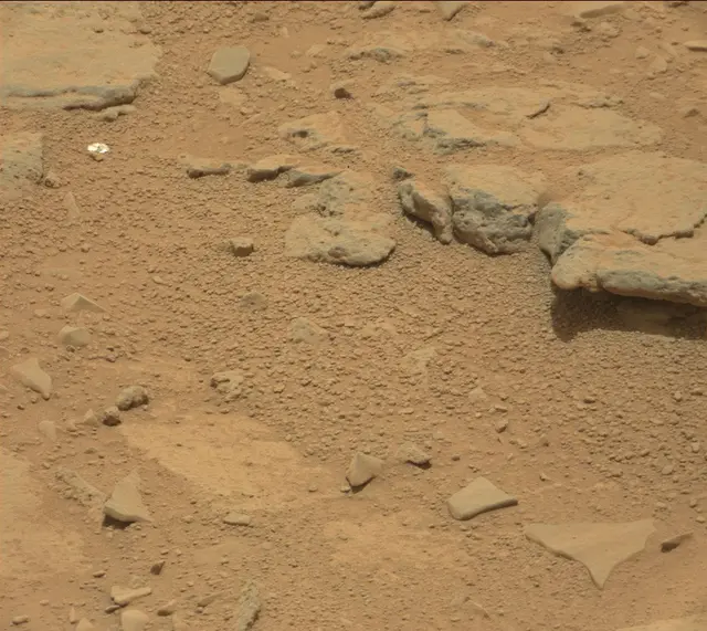 Sol 309: Mast Camera (Mastcam)