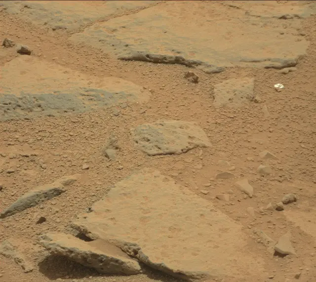 Sol 309: Mast Camera (Mastcam)