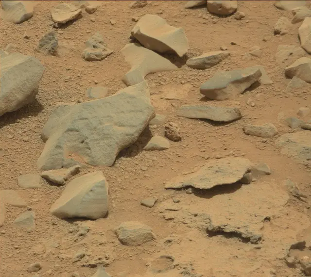 Sol 309: Mast Camera (Mastcam)