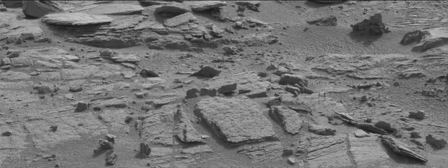 Sol 311: Mast Camera (Mastcam)