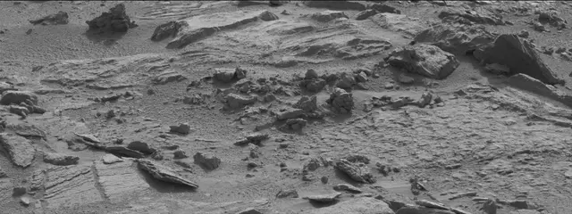 Sol 311: Mast Camera (Mastcam)
