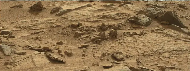 Sol 311: Mast Camera (Mastcam)