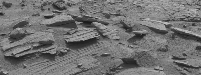 Sol 311: Mast Camera (Mastcam)