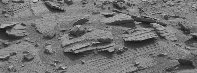 Sol 311: Mast Camera (Mastcam)