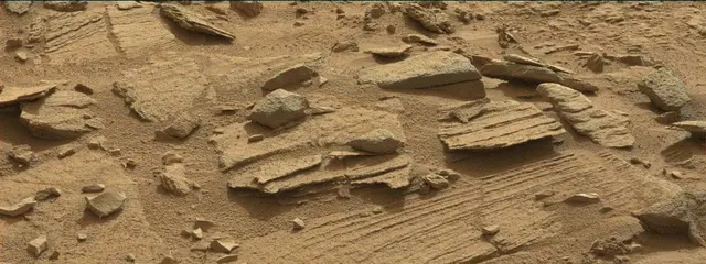 Sol 311: Mast Camera (Mastcam)
