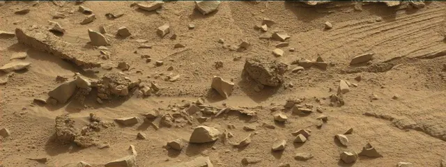 Sol 311: Mast Camera (Mastcam)