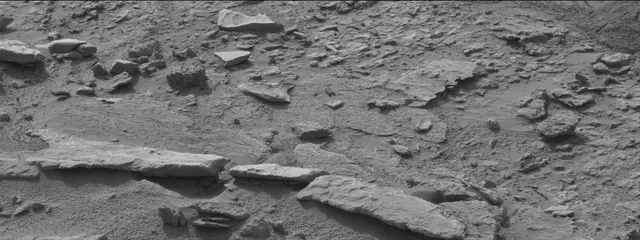 Sol 311: Mast Camera (Mastcam)