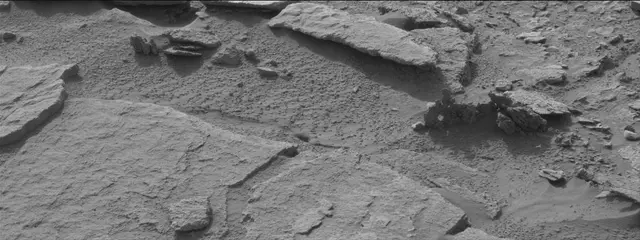 Sol 311: Mast Camera (Mastcam)