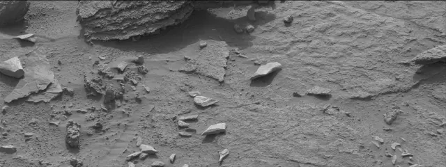Sol 311: Mast Camera (Mastcam)