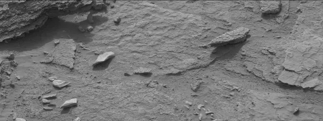 Sol 311: Mast Camera (Mastcam)