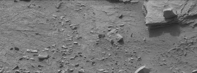 Sol 311: Mast Camera (Mastcam)