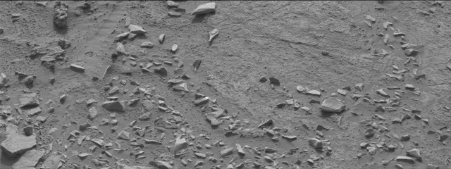 Sol 311: Mast Camera (Mastcam)