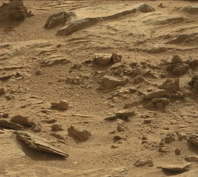 Sol 311: Mast Camera (Mastcam)