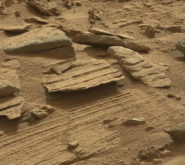 Sol 311: Mast Camera (Mastcam)