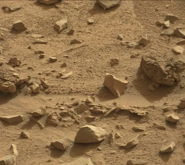 Sol 311: Mast Camera (Mastcam)