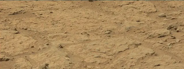 Sol 313: Mast Camera (Mastcam)
