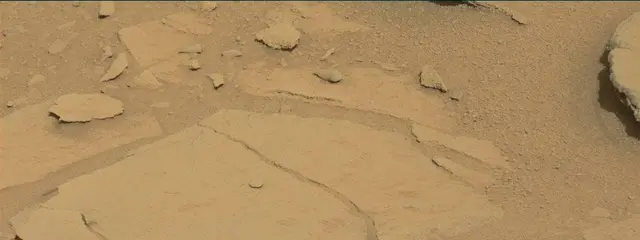 Sol 313: Mast Camera (Mastcam)