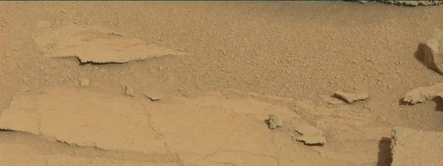 Sol 313: Mast Camera (Mastcam)