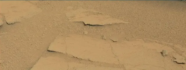 Sol 313: Mast Camera (Mastcam)
