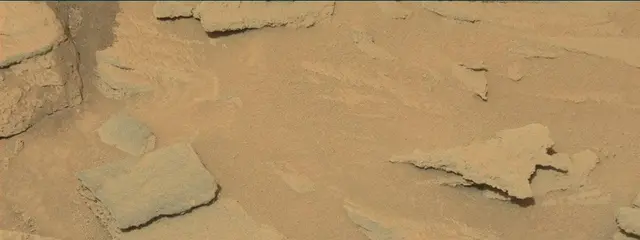 Sol 313: Mast Camera (Mastcam)