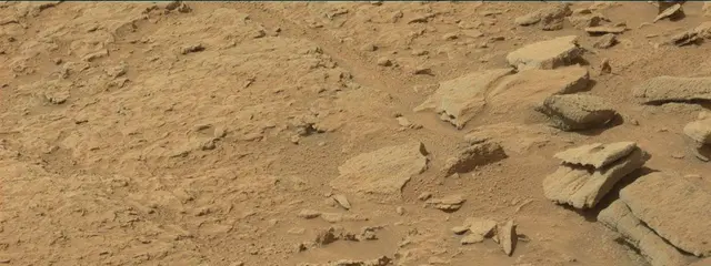 Sol 313: Mast Camera (Mastcam)
