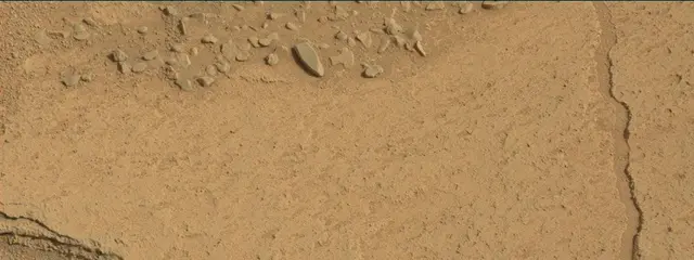 Sol 313: Mast Camera (Mastcam)