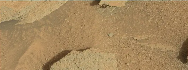 Sol 313: Mast Camera (Mastcam)