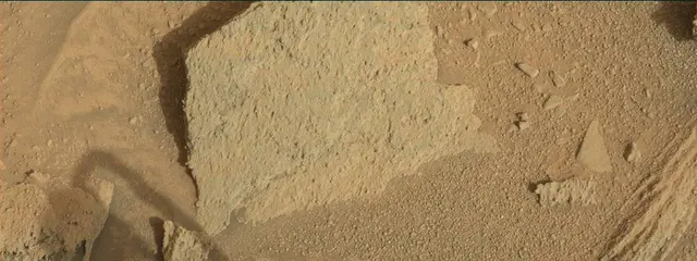 Sol 313: Mast Camera (Mastcam)