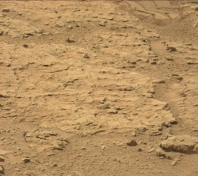 Sol 313: Mast Camera (Mastcam)