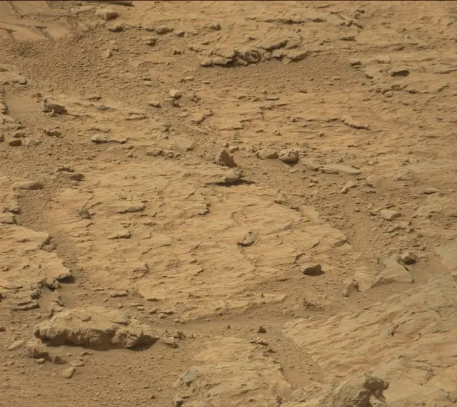 Sol 313: Mast Camera (Mastcam)