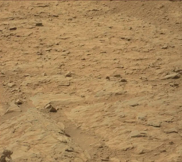 Sol 313: Mast Camera (Mastcam)