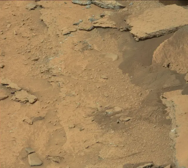 Sol 313: Mast Camera (Mastcam)
