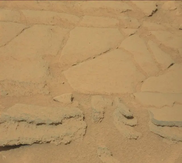 Sol 313: Mast Camera (Mastcam)