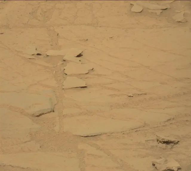 Sol 313: Mast Camera (Mastcam)