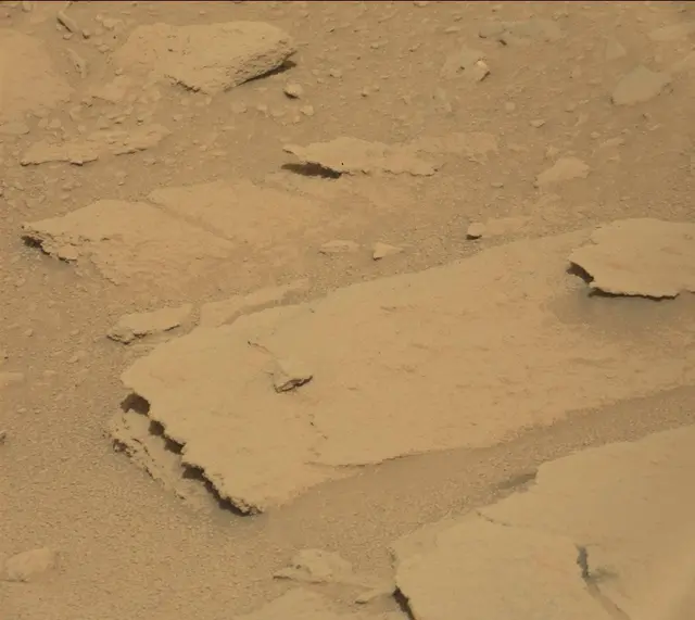 Sol 313: Mast Camera (Mastcam)