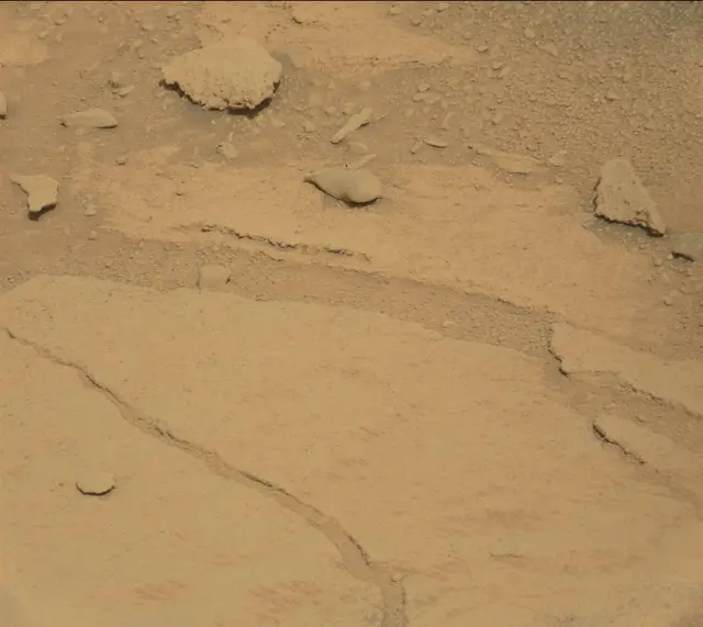 Sol 313: Mast Camera (Mastcam)