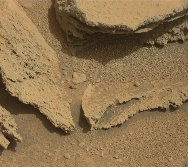 Sol 313: Mast Camera (Mastcam)