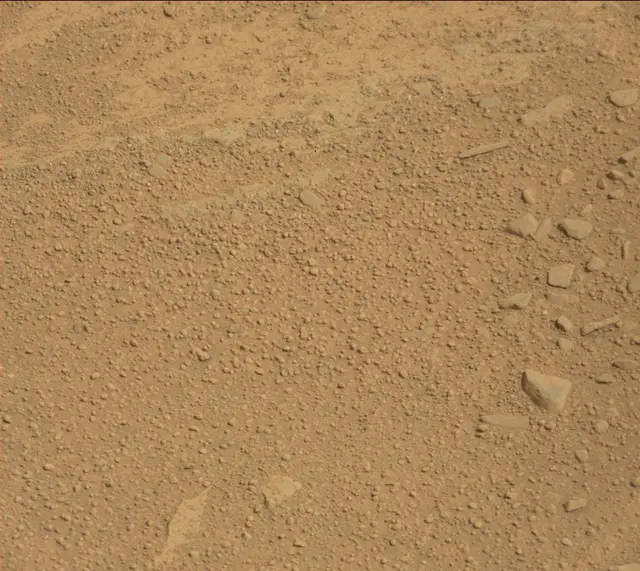 Sol 313: Mast Camera (Mastcam)