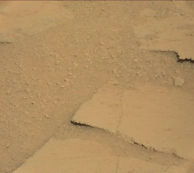Sol 313: Mast Camera (Mastcam)