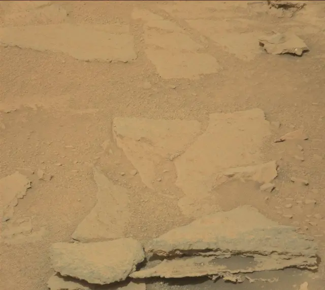 Sol 313: Mast Camera (Mastcam)