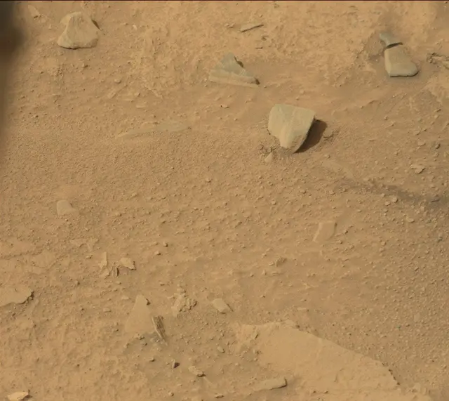 Sol 313: Mast Camera (Mastcam)