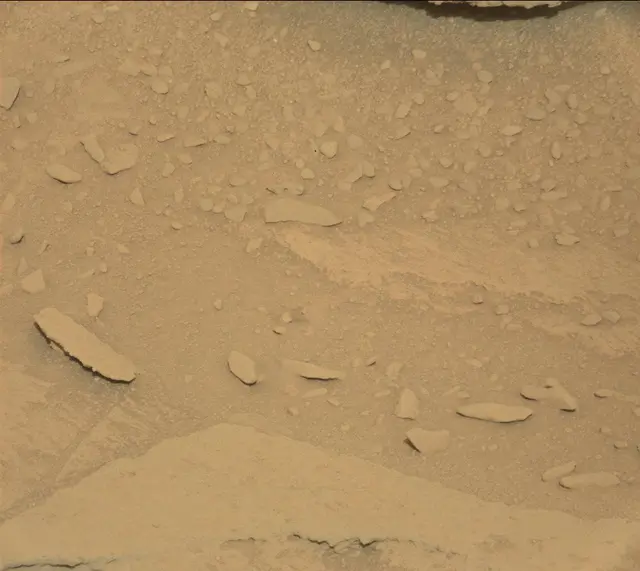 Sol 313: Mast Camera (Mastcam)