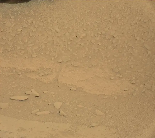 Sol 313: Mast Camera (Mastcam)