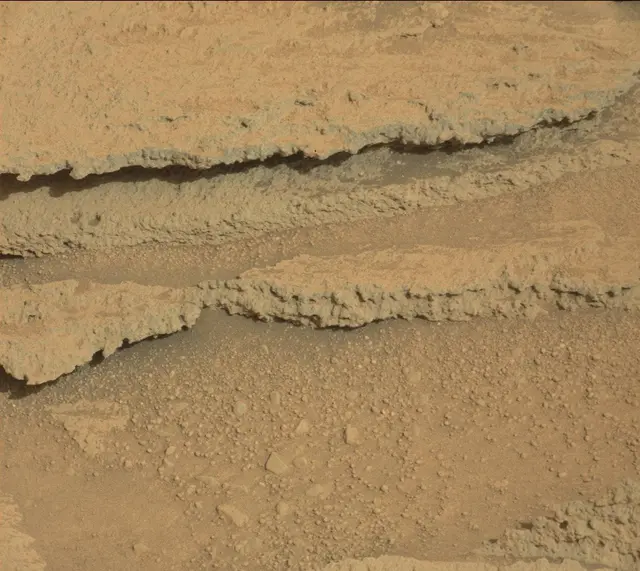 Sol 313: Mast Camera (Mastcam)