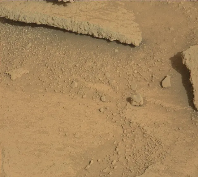 Sol 313: Mast Camera (Mastcam)